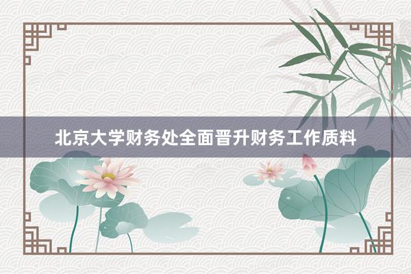北京大学财务处全面晋升财务工作质料